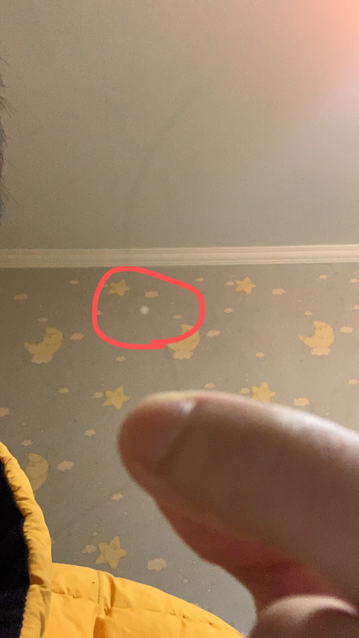 饿了么餐品出现毛发，存在严重食品安全问题