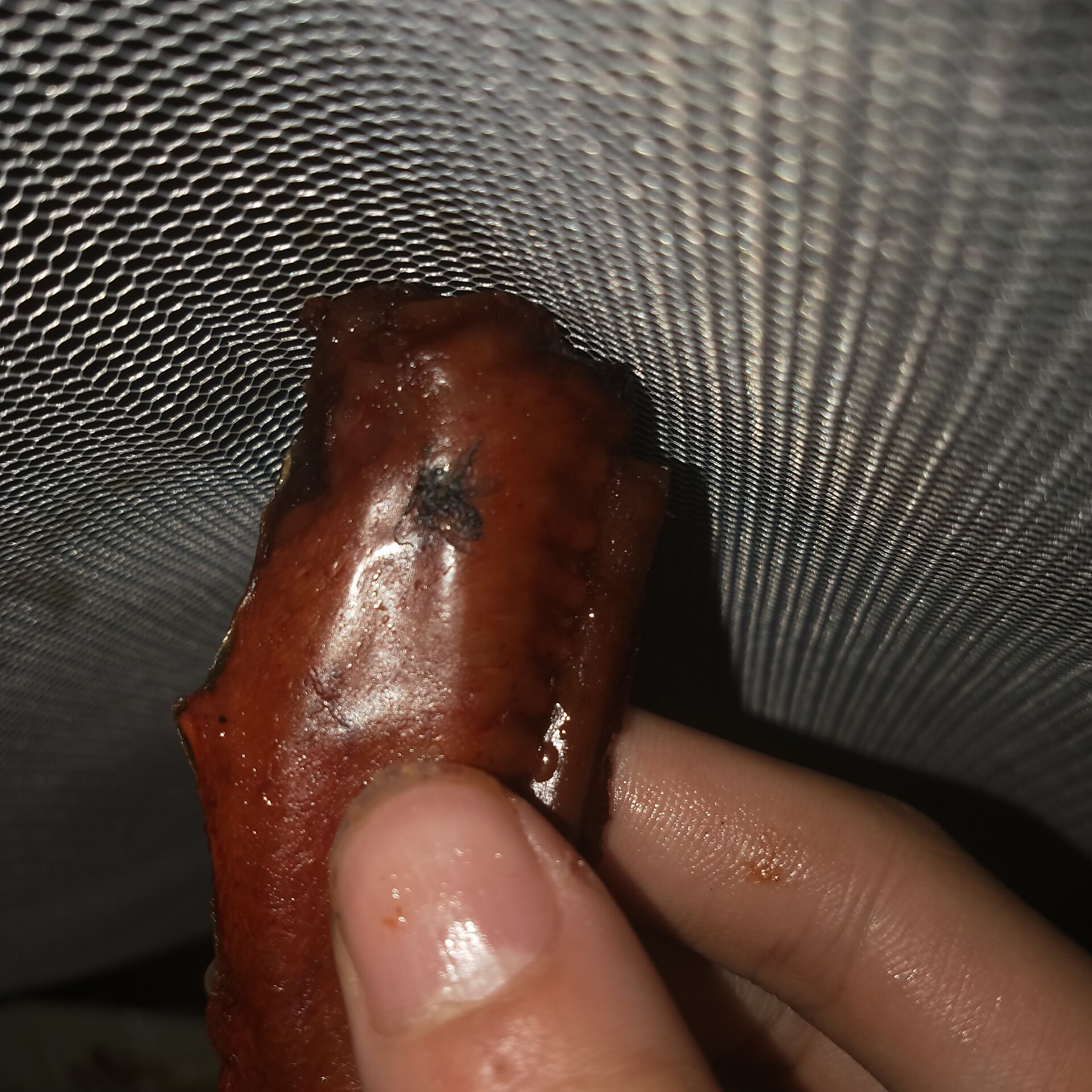 食品吃出苍蝇